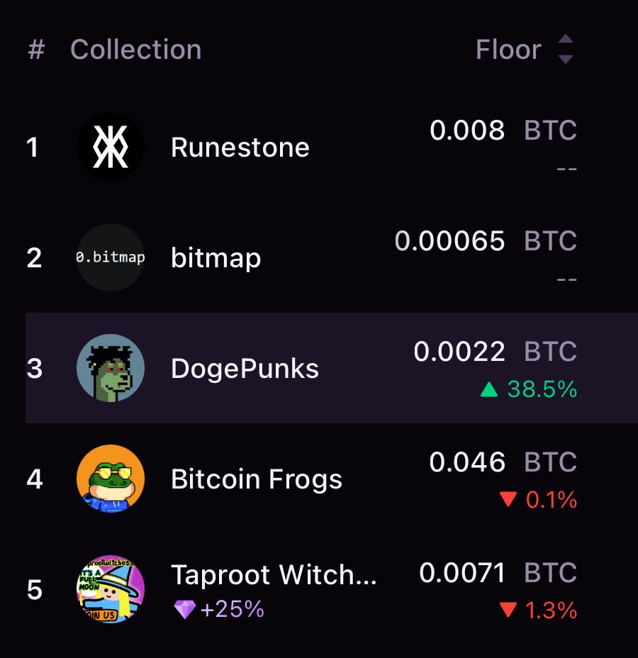 DOGEPUNKS DOMINATED THE FIRST WAVE OF ORDINALS AND NOW SOMEONE'S REMEMBERING IT 🔥