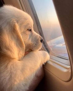 dimasrooy's tweet photo. sad moment time to move

gmove https://t.co/uPATcjTIri
