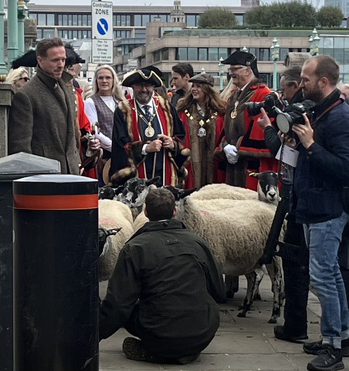 emma_bashforth's tweet image. Fun morning at the annual @SheepDriveLDN where Freemen of the City exercise their ancient right to drive sheep into the City without paying the bridge toll.  I expected to see the Lord Mayor, some sheep etc…but not Damian Lewis!