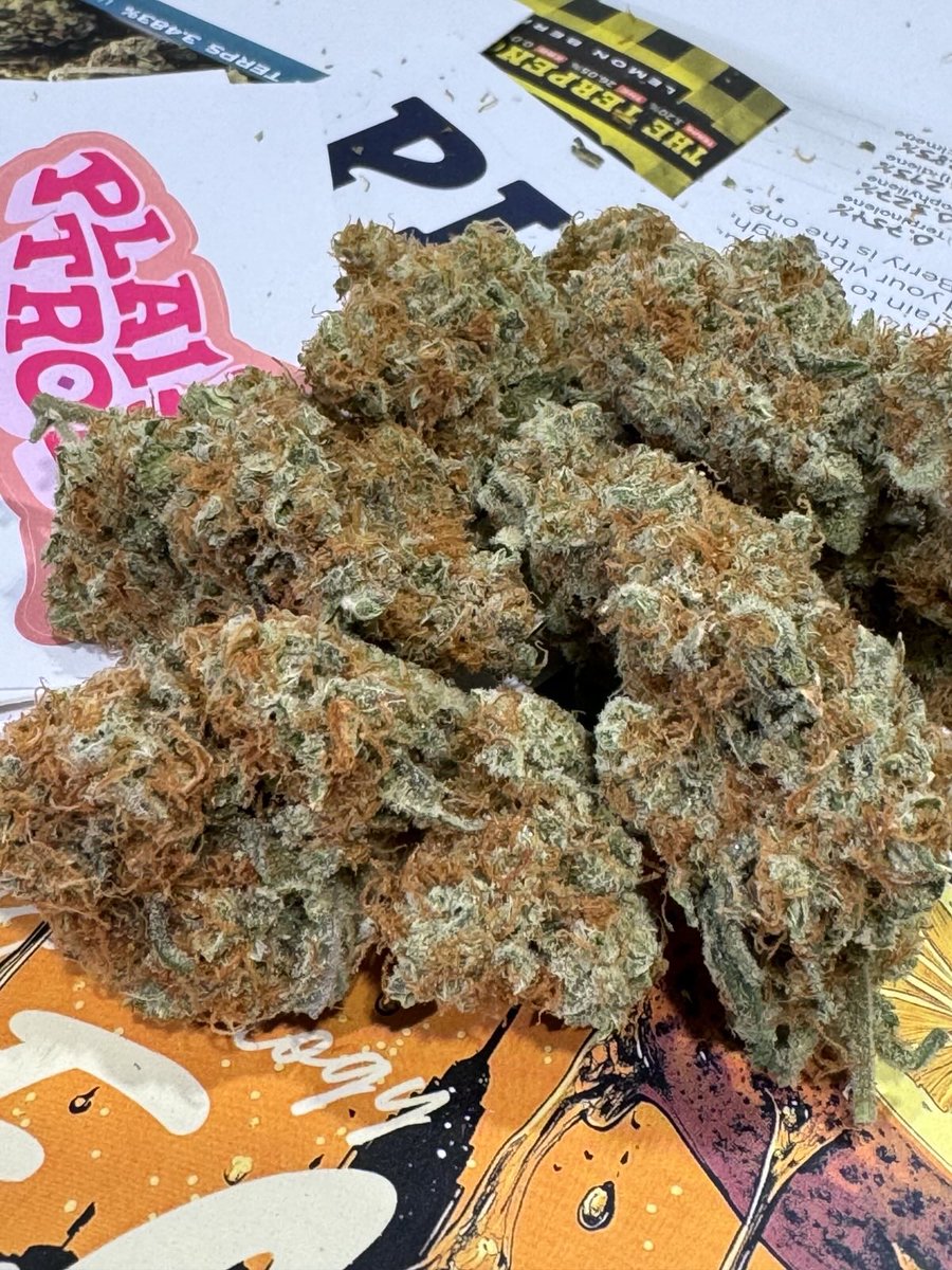 plaidtrout's tweet photo. Hook up, high fives, and good times 🤙 come get sum! Terri ‘n Mitch are keepin’ it reel at Grow Up Edmonton rfn til Tuesday!

Head on over to booth 411 to fill up your goodie bags 😘

#growupalberta #yeg #cannafam #hollerbackgirl https://t.co/nhVqOD0a7P