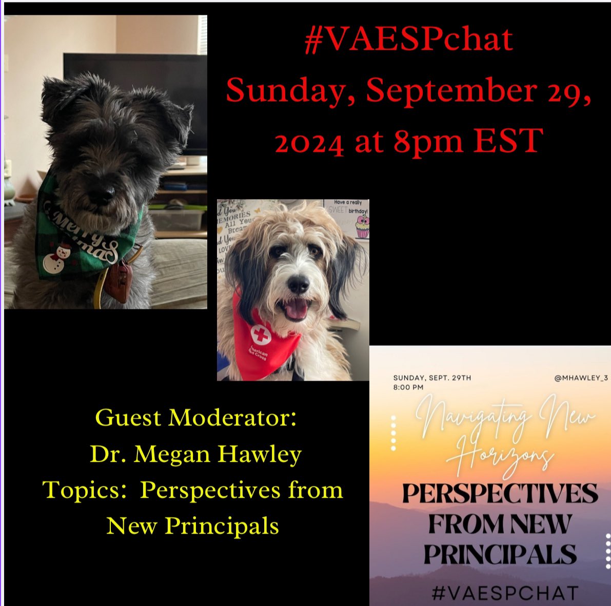 Dr. Andrew Buchheit (@andrewbuchheit) on Twitter photo #VAESPchat in 4 hours at 8PM EST with Guest Moderator Dr. Megan Hawley <a href="/MHawley_3/">Dr. Megan Hawley</a> Topic: Perspectives from New Principals. <a href="/mrscarlyott/">Carly Ott</a> <a href="/MrsASchott/">Amy Schott</a> <a href="/AknightApril/">April Knight</a> <a href="/aplusleader/">Amanda Finklea</a> <a href="/AllysonApsey/">Allyson Apsey</a> <a href="/KbartonKrista/">Krista Barton Arnold</a> <a href="/bloomer_sa/">Todd Bloomer</a> <a href="/burgess_shelley/">Shelley Burgess</a> <a href="/Joe_Beckman/">Joe Beckman</a> <a href="/Joe_Sanfelippo/">Joe Sanfelippo</a> <a href="/MsJachymiak/">Ms. Jachymiak</a> #VAESPchat in 4 hours at 8PM EST with Guest Moderator Dr. Megan Hawley <a href="/MHawley_3/">Dr. Megan Hawley</a> Topic: Perspectives from New Principals. <a href="/mrscarlyott/">Carly Ott</a> <a href="/MrsASchott/">Amy Schott</a> <a href="/AknightApril/">April Knight</a> <a href="/aplusleader/">Amanda Finklea</a> <a href="/AllysonApsey/">Allyson Apsey</a> <a href="/KbartonKrista/">Krista Barton Arnold</a> <a href="/bloomer_sa/">Todd Bloomer</a> <a href="/burgess_shelley/">Shelley Burgess</a> <a href="/Joe_Beckman/">Joe Beckman</a> <a href="/Joe_Sanfelippo/">Joe Sanfelippo</a> <a href="/MsJachymiak/">Ms. Jachymiak</a>