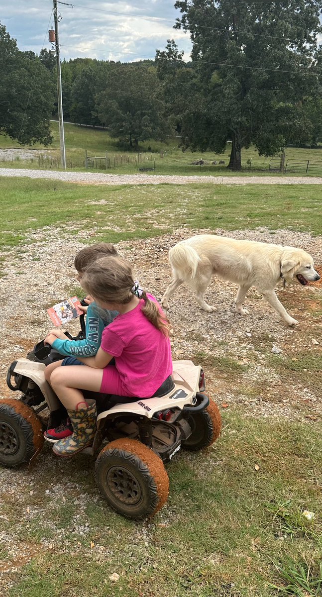 IndependenceArk's tweet photo. #Freedomland AR #Countrylivin https://t.co/oqFeHc5gtQ
