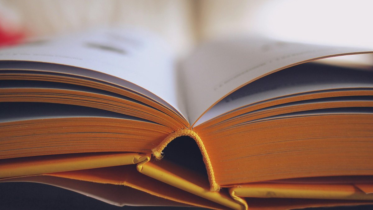 Sundays are made for long books and zero interruptions. Who’s in for an all-day reading sesh? 🙌📖 #ReadingDay