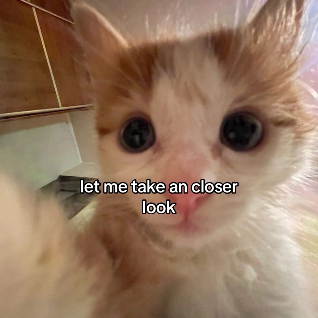 Catsillyness's tweet photo. you're pretty https://t.co/sBivYXoQmb