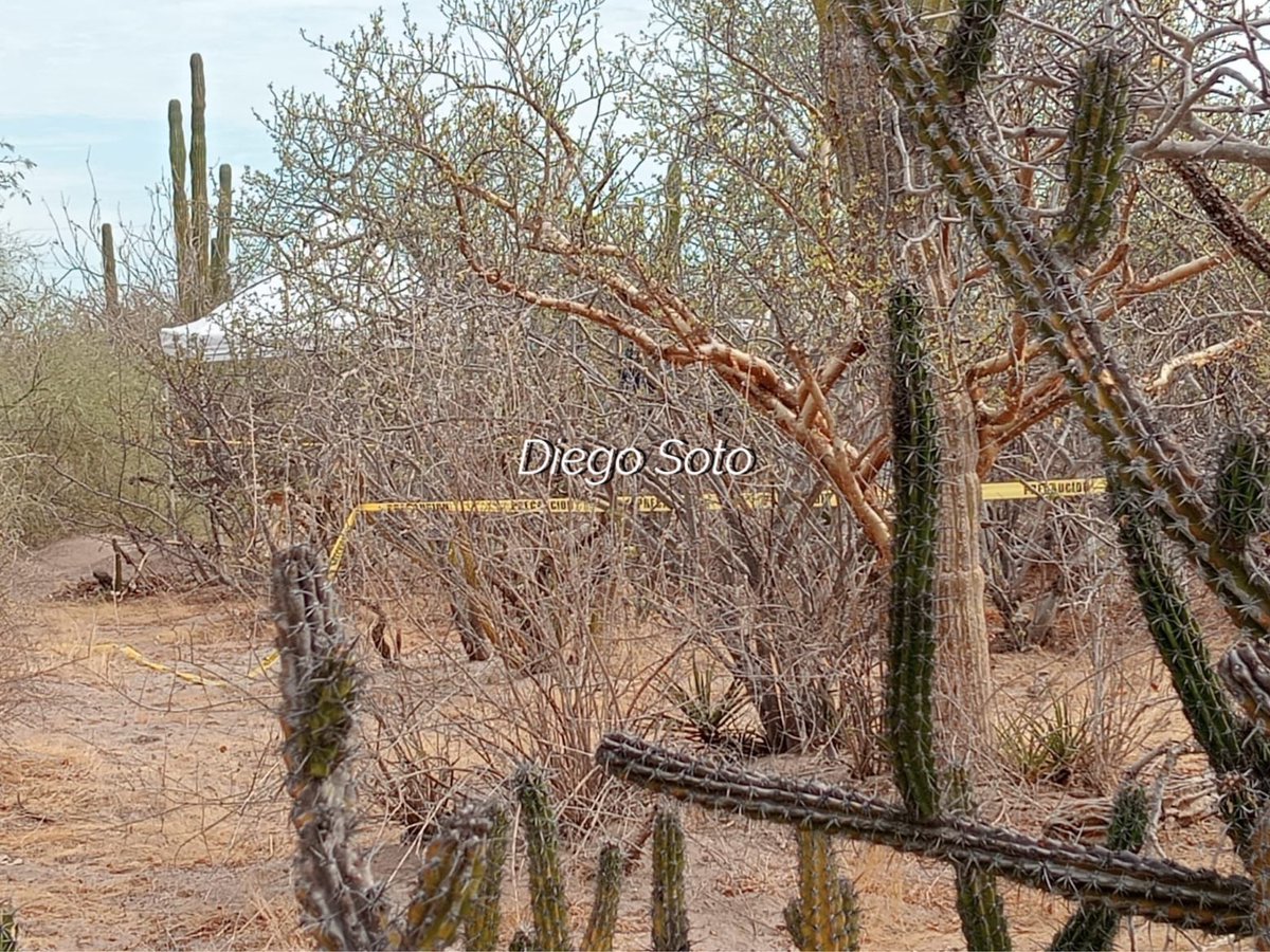 Diego Soto tweet media