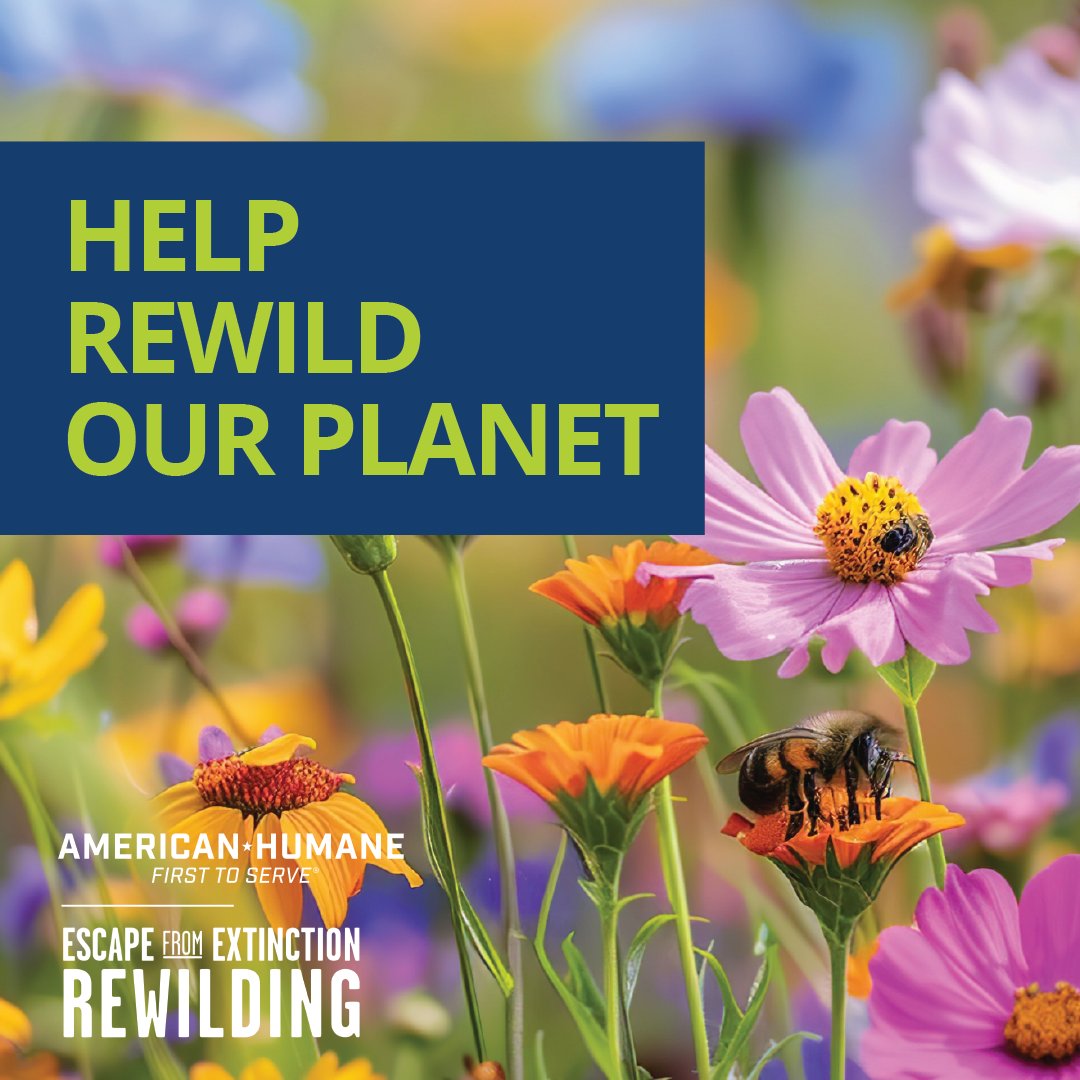 Escape From Extinction tweet media