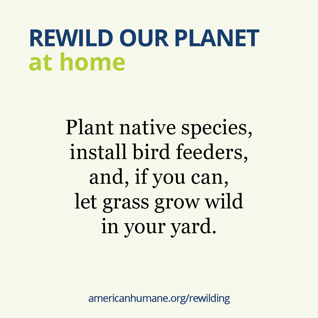 Escape From Extinction tweet media