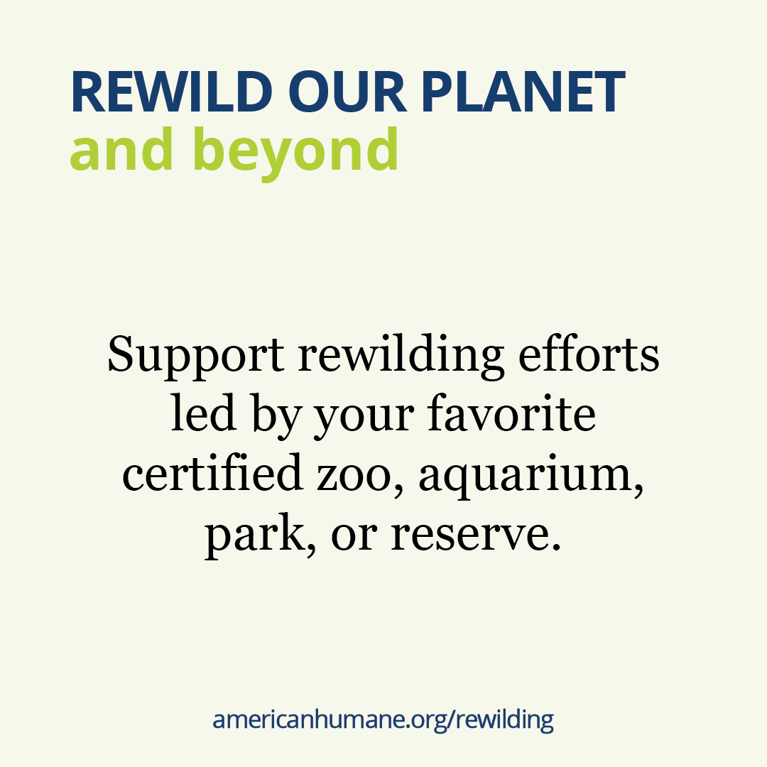 Escape From Extinction tweet media