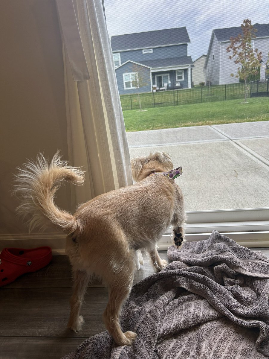 johnjohn_the's tweet photo. @marcothepup Checking!!! https://t.co/CTQLg2GuRf
