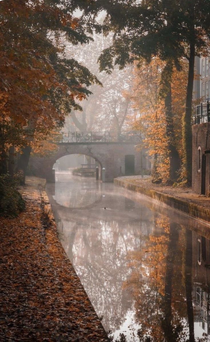pamvonhadder's tweet image. Fall in the netherlands 🍂