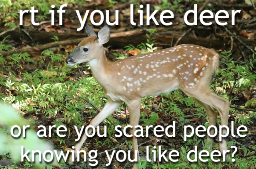 deertexting's tweet photo. https://t.co/RrkefH4fdu