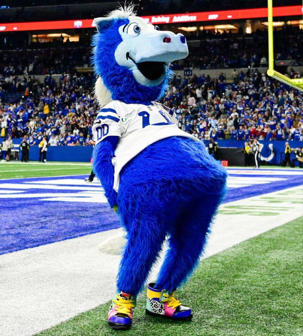 BestBarknCtown's tweet photo. Do your thing today #Blue!
#ColtsStrong https://t.co/OUFVG30xUC