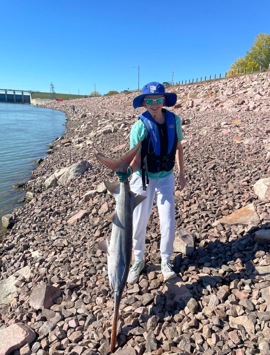 Joe Pallat tweet media