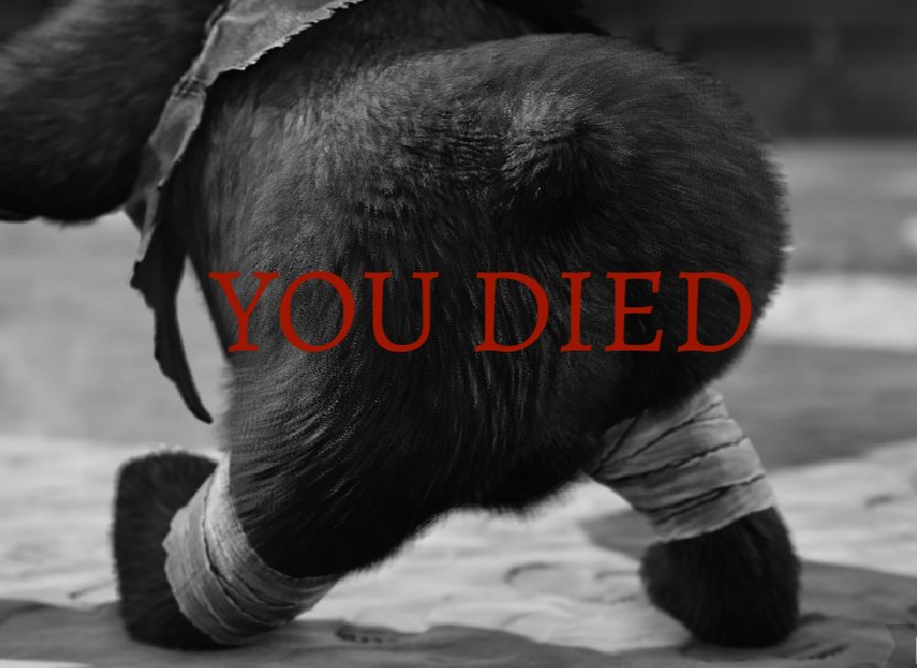 POV you thought the Bear combo wasn't gonna kill, but they got you to the wall