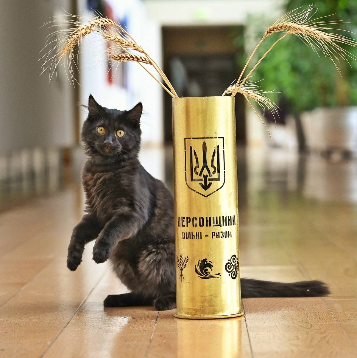 I am pleased to announce that Rango, the Official Diplocat of the Foreign Ministry of the Republic of Lithuania, received a gift for his efforts to raise money for animals in Kherson.