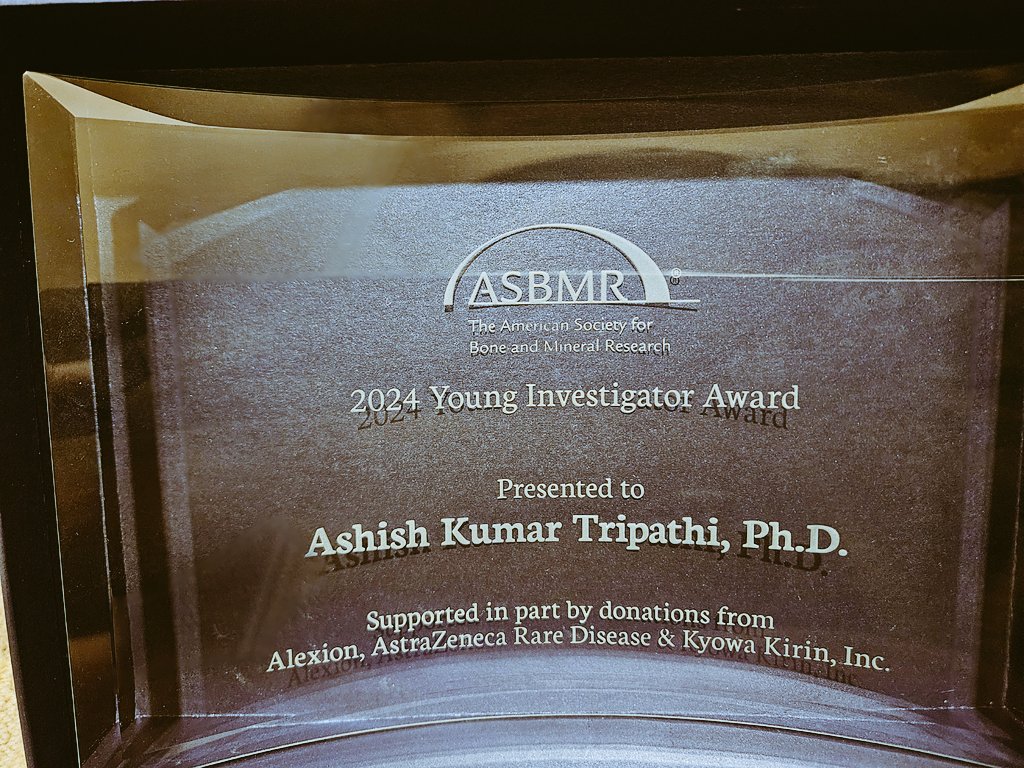 "Honored to receive the Young Investigator Award at #ASBMR2024! Huge thanks to the organizing committee <a href="/ASBMR/">ASBMR</a>, my amazing labmates, and incredible collaborators for their support and dedication. This wouldn’t be possible without you all! #TeamScience #Gratitude"