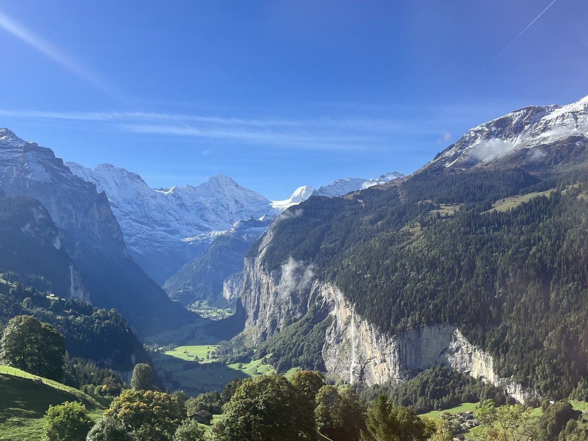 Jamie Phillips tweet media