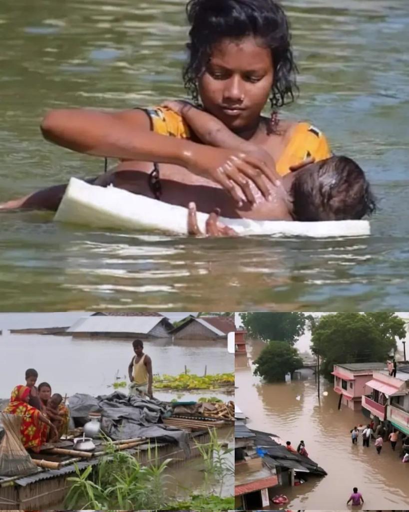 BiryaniBytes's tweet photo. बिहार में बाढ़ से गरीबों के घर ढह रहे हैं लोग पलायन कर रहे हैं। क्या इन लोगों को दोबारा जिंदगी शुरू करने में मदद मिलेगी? क्या बाढ़ के बाद 2 वक्त की रोटी भी मिल पाएगी? प्रधानमंत्री जी और मुख्यमंत्री जी, क्या इस स्थिति पर और ध्यान दिया जाएगा? #BiharFloods #HelpBihar #PrayForBihar https://t.co/ZxgoJcxtKi