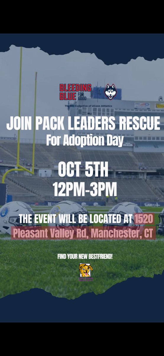 Tui Brown (@tbrown_5) on Twitter photo Head over to Pack Leaders Rescue in Manchester, CT, and meet some lovable pets ready for their forever homes on October 5th!! <a href="/PLRofCT/">PackLeadersRescueCT</a> Head over to Pack Leaders Rescue in Manchester, CT, and meet some lovable pets ready for their forever homes on October 5th!! <a href="/PLRofCT/">PackLeadersRescueCT</a>