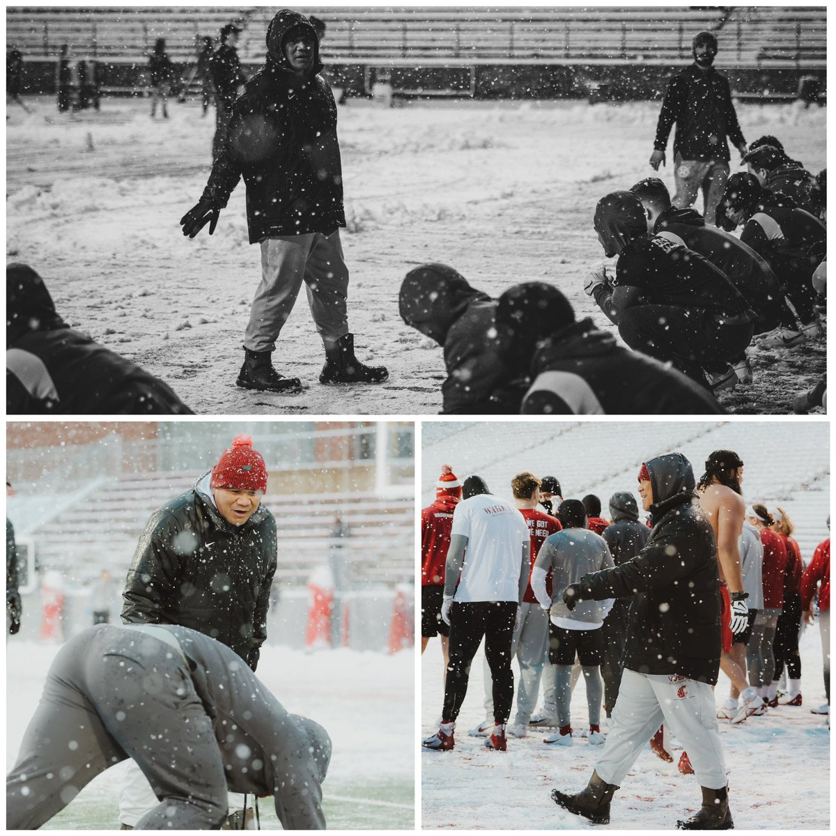 Mark Atuaia tweet media