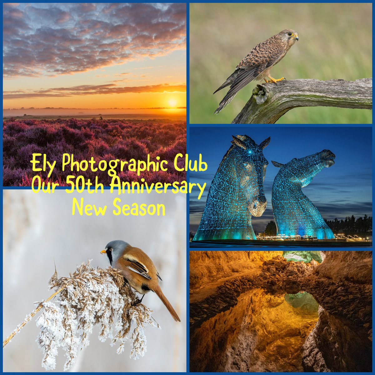 ElyPhotographicClub (@elyphotographic) on Twitter photo Ely Photographic Club would like to thank over 2050 visitors who came to our successful exhibition <a href="/BabylonArtsEly/">Babylon Arts</a> gallery. We had lots of sales, great comments & raised our profile in Ely <a href="/SpottedInEly/">Spotted In Ely</a> <a href="/visitely/">Visit Ely</a> <a href="/Ely_Cathedral/">Ely Cathedral</a> <a href="/Kings_Ely/">King's Ely</a> <a href="/Elyimagazine/">Bridget</a> <a href="/Fen_SCENE/">Fen Scene Magazine</a> <a href="/elystandard/">Ely Standard</a> Ely Photographic Club would like to thank over 2050 visitors who came to our successful exhibition <a href="/BabylonArtsEly/">Babylon Arts</a> gallery. We had lots of sales, great comments & raised our profile in Ely <a href="/SpottedInEly/">Spotted In Ely</a> <a href="/visitely/">Visit Ely</a> <a href="/Ely_Cathedral/">Ely Cathedral</a> <a href="/Kings_Ely/">King's Ely</a> <a href="/Elyimagazine/">Bridget</a> <a href="/Fen_SCENE/">Fen Scene Magazine</a> <a href="/elystandard/">Ely Standard</a>