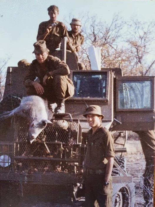 A Buffel with a pig for supper
#BushWar