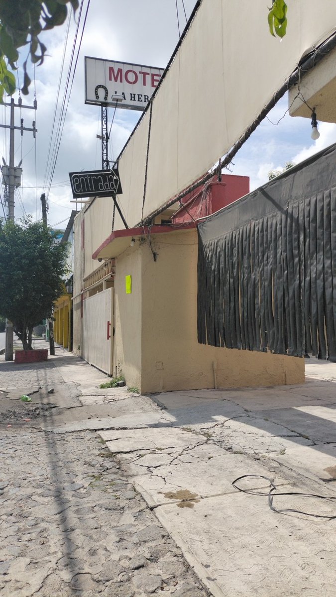 @mayelipantaoff tweet media