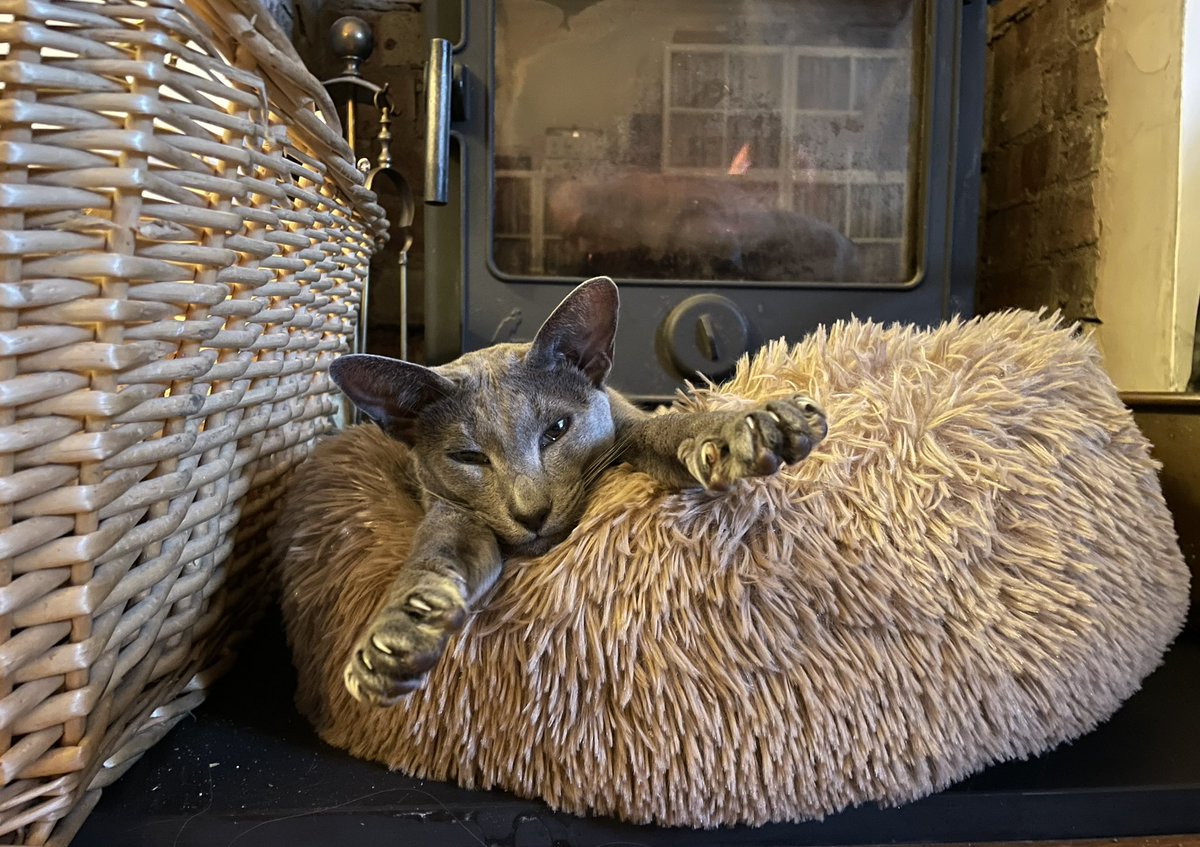 I'm on Bluesky. tweet media