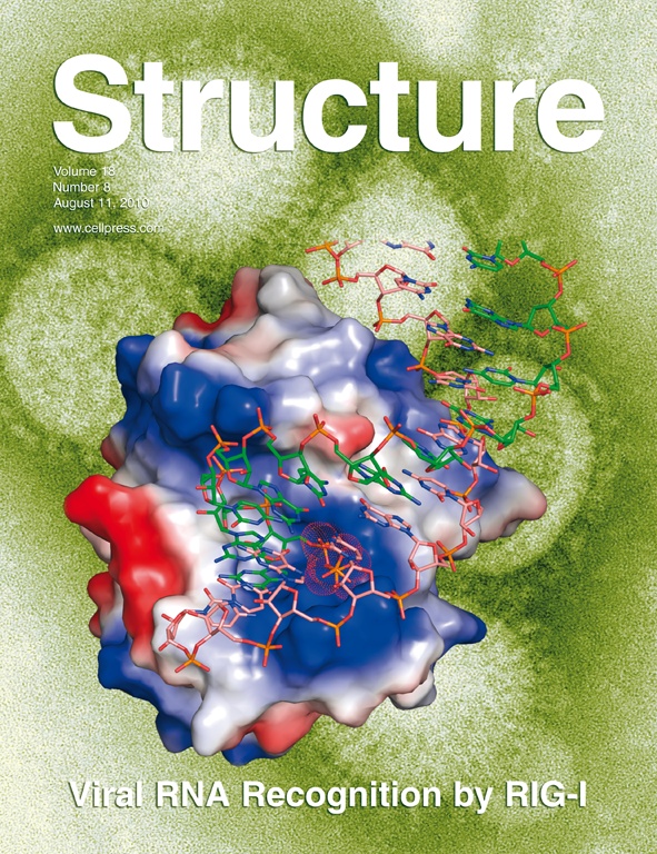 The structure of RIG-I CTD bound to 5'-ppp-dsRNA