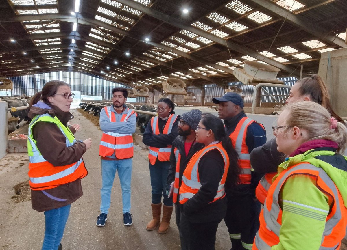 Our new cohort of masters students spent the afternoon on our dairy farm on Friday 🐄

Croeso i'n cohort newydd o fyfyrwyr meistr wrth iddynt ddod yn gyfarwydd â fferm y Brifysgol 🐄