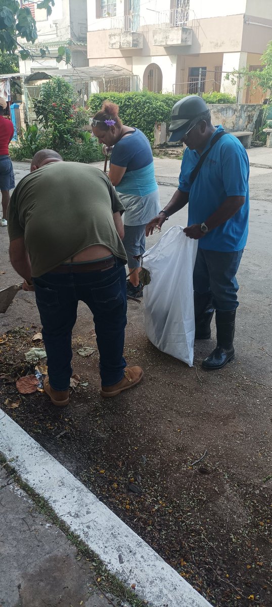 GrupoGEALAV's tweet photo. 🌳✨ Este domingo, nos unimos nuevamente el grupo #Gealav para embellecer los parques en el municipio 10 de Octubre.(#Sevillano ,#Córdoba,#Acosta ,#Mónaco) 💪❤️
🌍💚 ¡Poniéndole corazón a 10 de Octubre!
¡Cada mano cuenta!
#Gealav
#60añosdetradicionavicola https://t.co/VMzvvrSg01