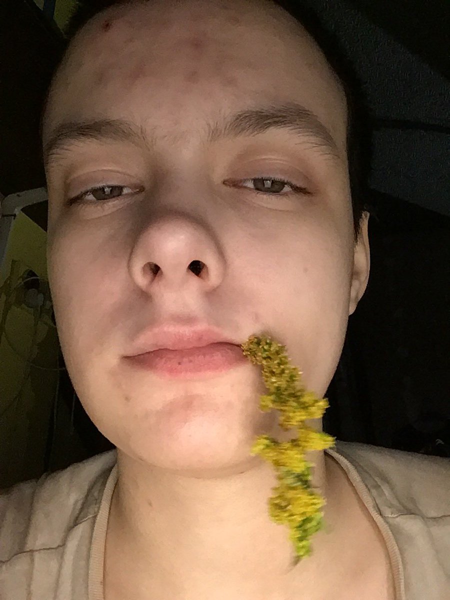 goldenrods taste like shit