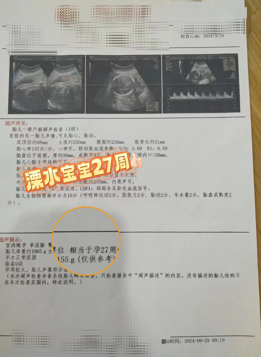 ivan611504141's tweet photo. #9月持续传递好孕🤰🏻今日产检👇🏻
每一份产检报告，不只是我们完成的一份工作，更是守护着一个个家庭的希望。
#代孕 #泰完美 #同性 #男男 #夫夫  #LGBTQ #gay https://t.co/CT0gMVQBCW