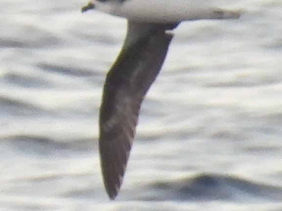 Perry Smale tweet media