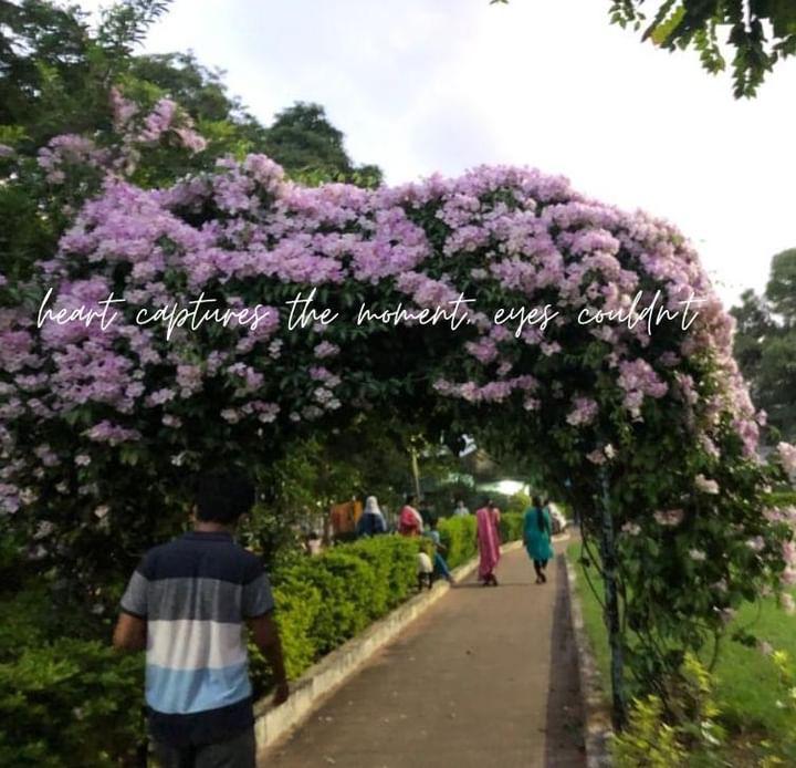 BeMetaphor's tweet photo. Collecting moments,not things https://t.co/YA7kCdVgJ6