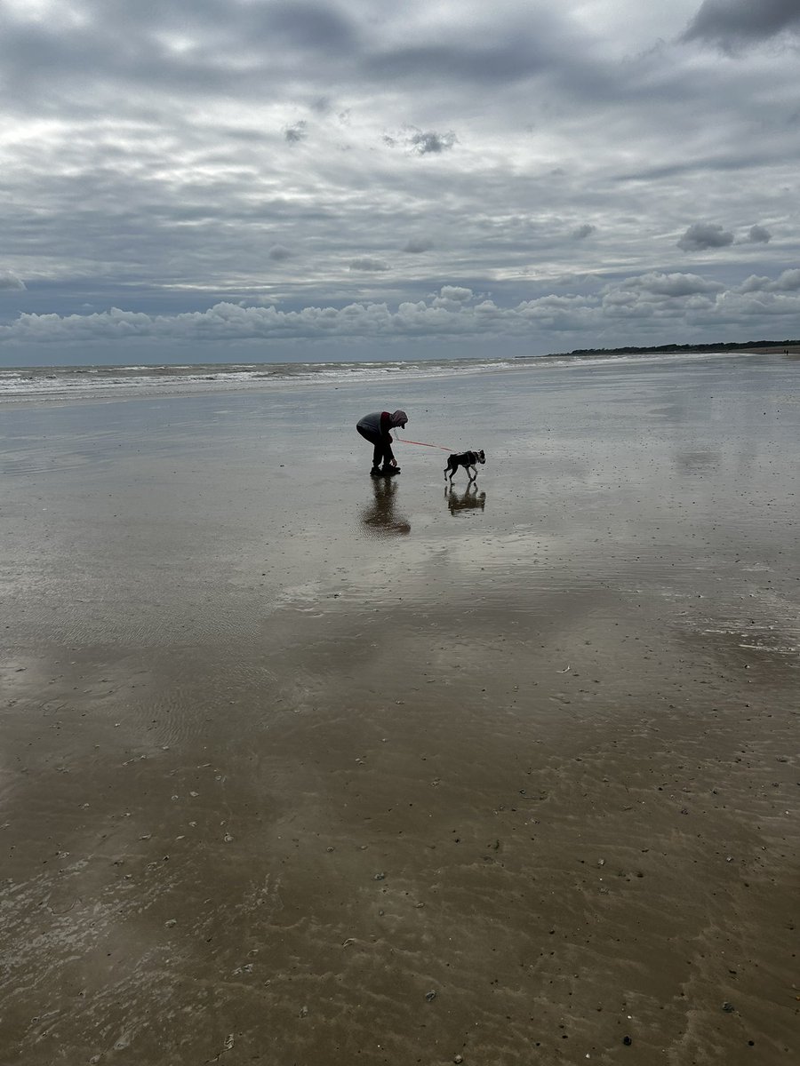 Wayne Murray tweet media