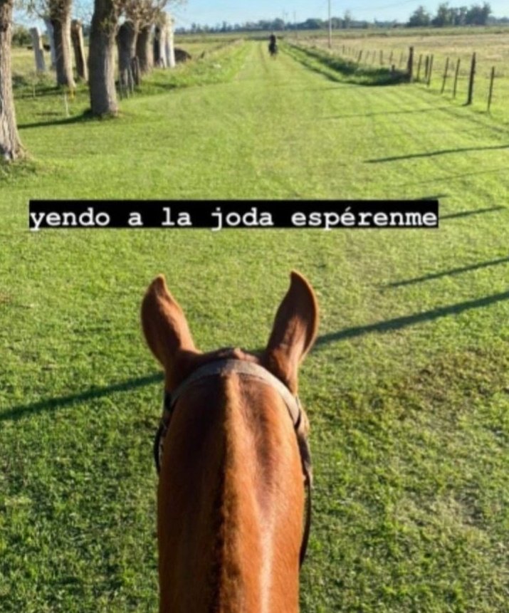 𝖗𝖆𝖒𝖎_ (@_rami44) on Twitter photo 