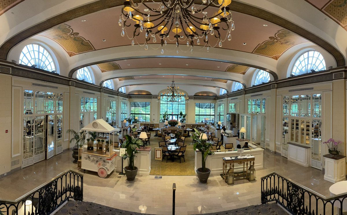 ASISEETHEWORLDPHOTO 🪷 tweet media