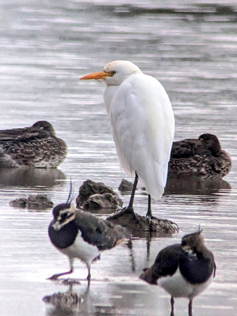 Jonni Price tweet media