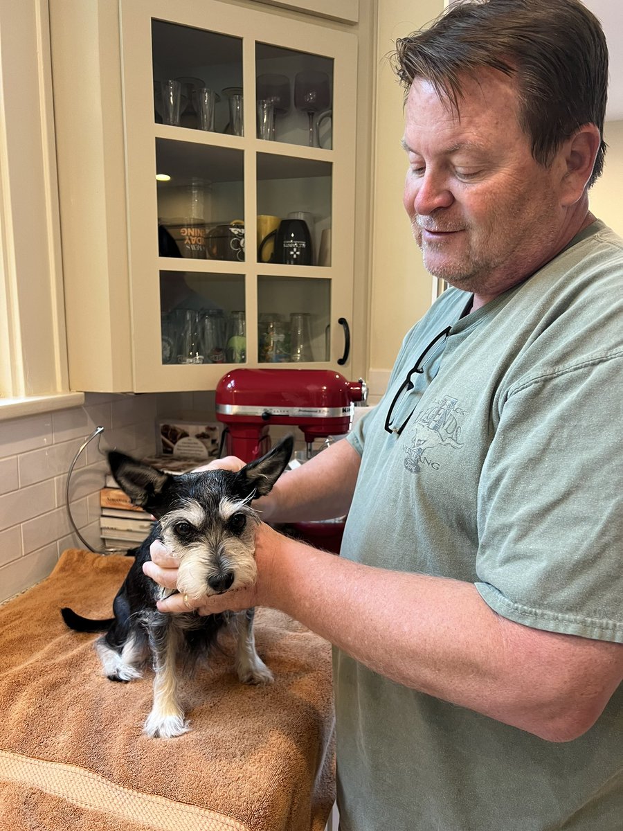 Cora Scott tweet media