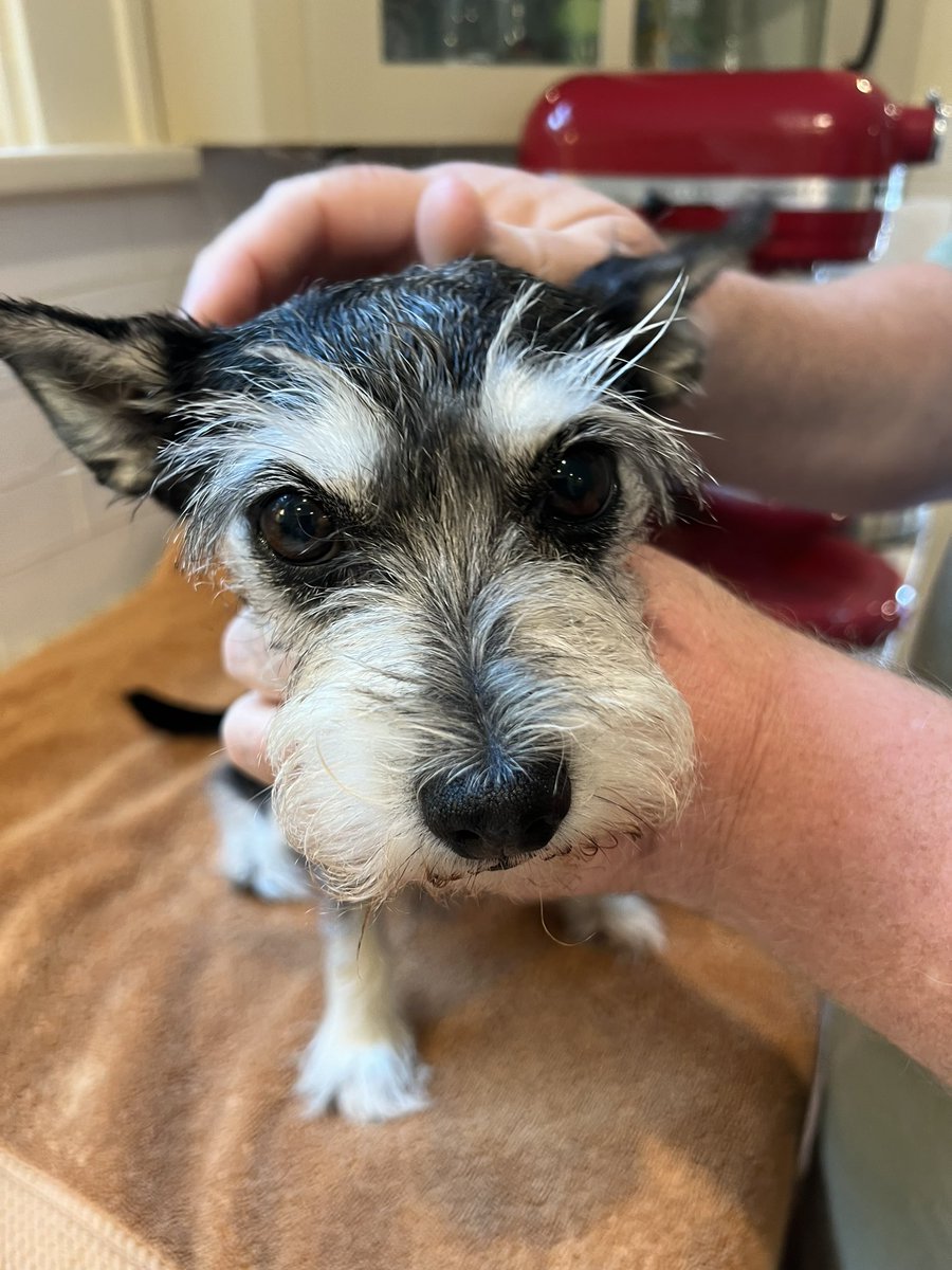 Cora Scott tweet media