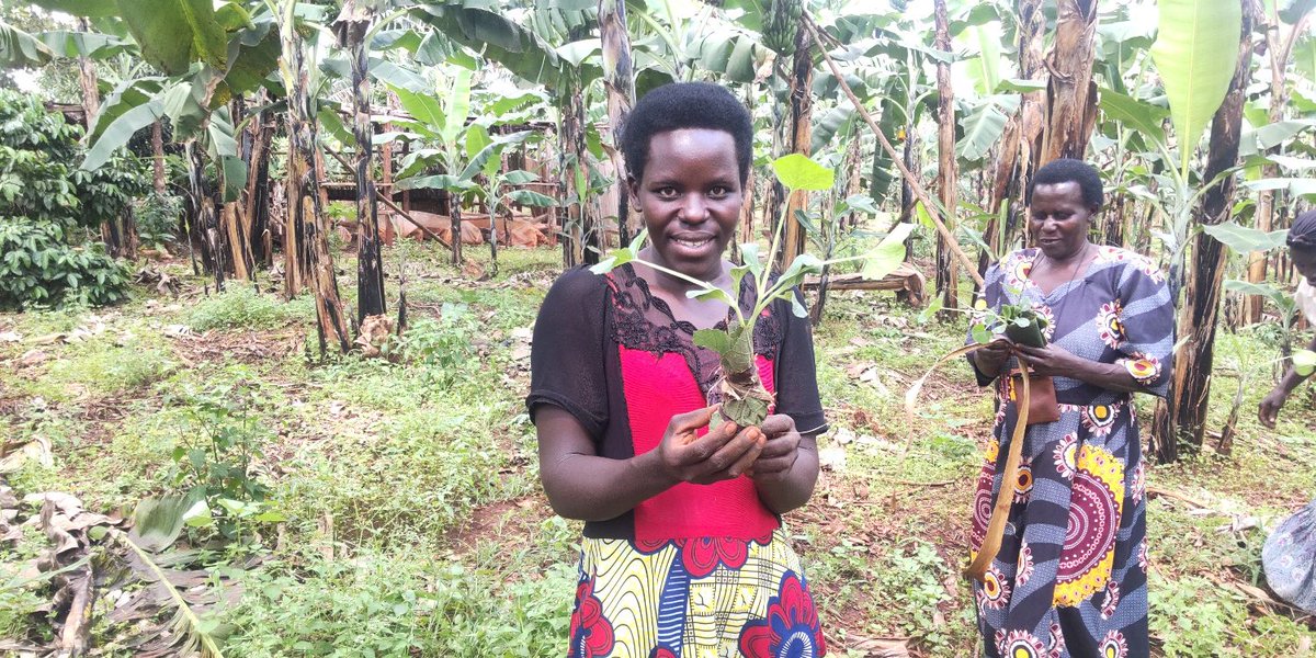 Empowering Women through Sustainable Vegetable Farming 🥬 - mailchi.mp/7ef296b74631/e…