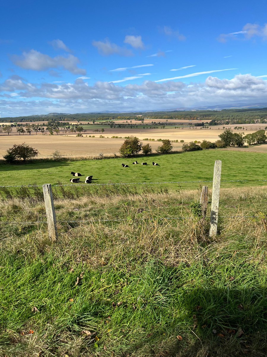 ChristineTacon's tweet photo. Just finished a veteran car rally in Montrose, Angus. Stunned by the beautiful farming views, especially as so much of UK under water. A few pics from and of the car… https://t.co/ShJqrXSWr2
