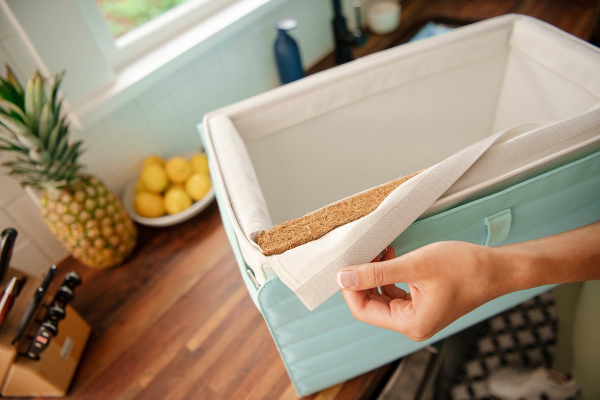 Midori Paxton tweet media