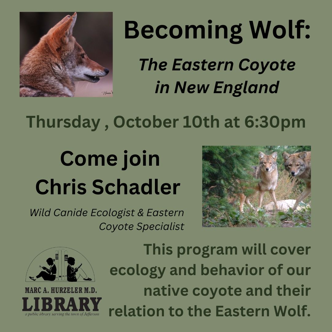 Check out this event in Jefferson! 🐺

#nh #wildlife #coexist #newengland #coyotes #nhpolitcs