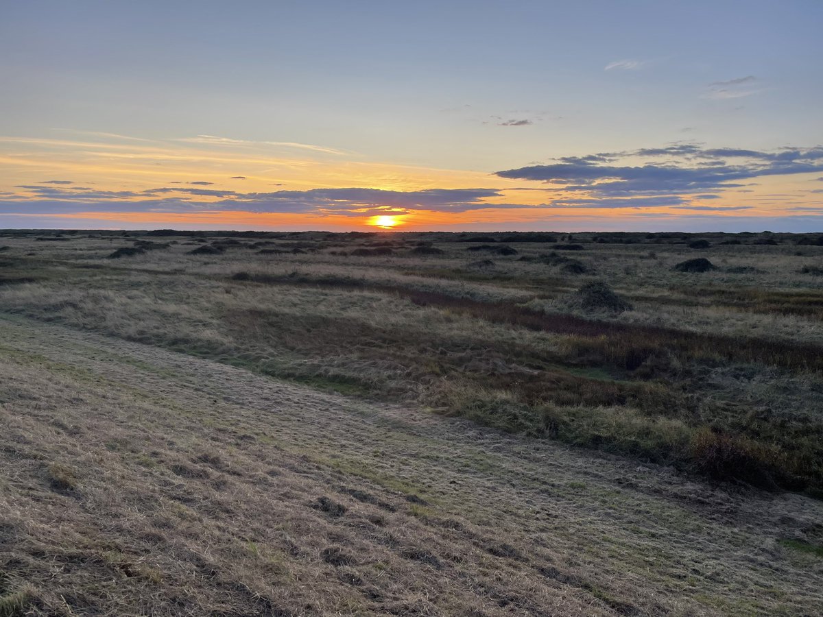 Neil Burt (@neilburt5) on Twitter photo 2 evening visits to <a href="/WildKenHill/">Dominic Buscall</a> on the 27th & 28th September. Love this place. 2 Barn Owls, 3 Grey Partridges, Marsh Harrier, Spoonbill, Hares, Stonechat, Cetti’s Warblers, Wigeon, Grey Herons, Teal, Swallows moving south, Curlews and plenty of geese & gulls heading to roost. 2 evening visits to <a href="/WildKenHill/">Dominic Buscall</a> on the 27th & 28th September. Love this place. 2 Barn Owls, 3 Grey Partridges, Marsh Harrier, Spoonbill, Hares, Stonechat, Cetti’s Warblers, Wigeon, Grey Herons, Teal, Swallows moving south, Curlews and plenty of geese & gulls heading to roost.