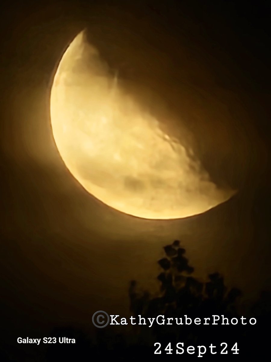 Kathy Gruber aka SweetSchatz (@sweetschatz69) on Twitter photo 