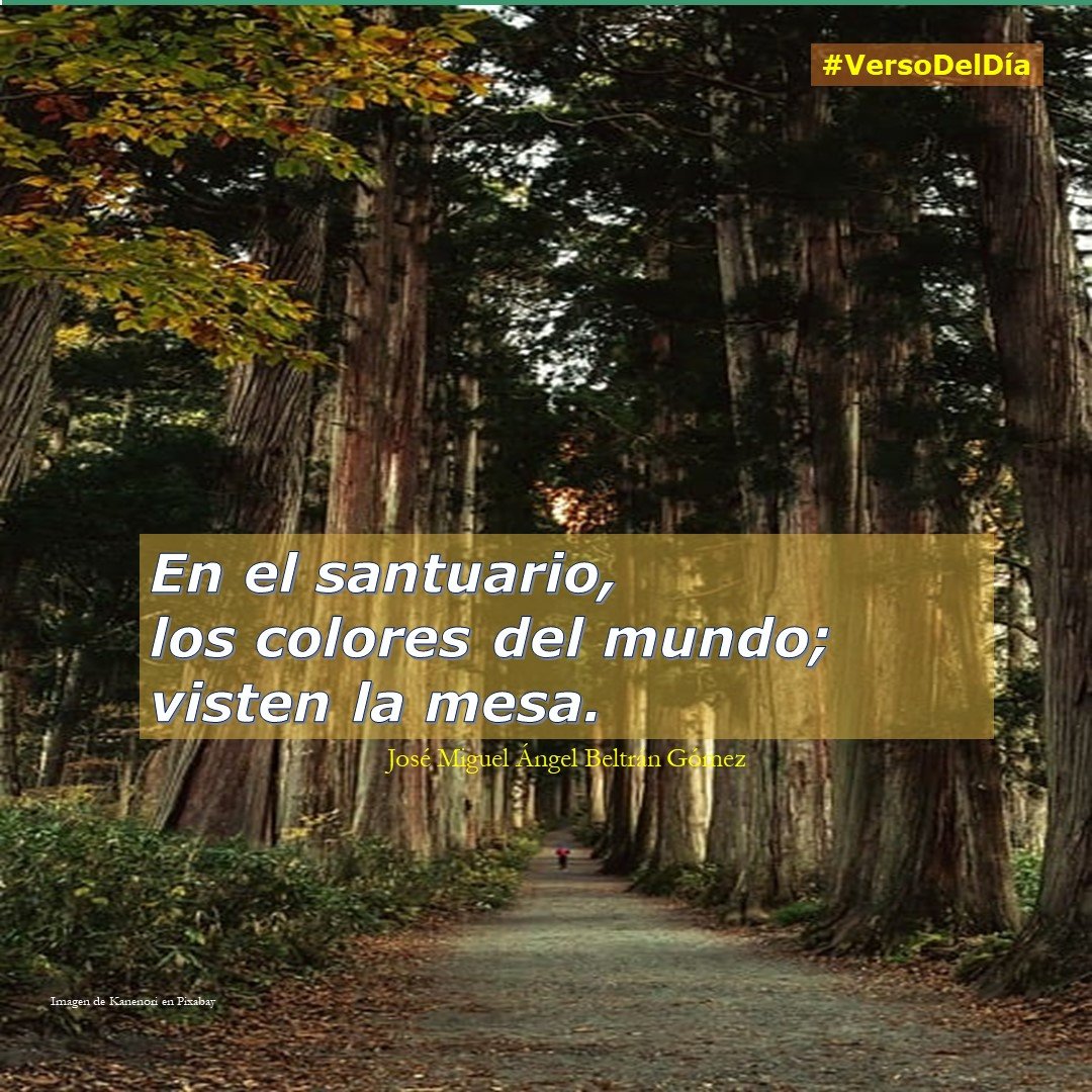 J Miguel A Beltran G tweet media