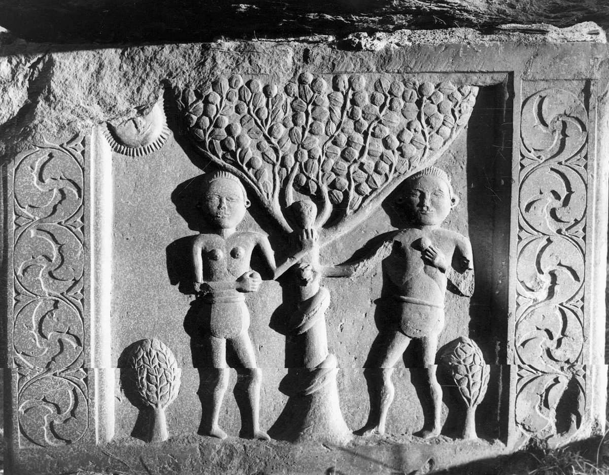 Dead In Halifax tweet media