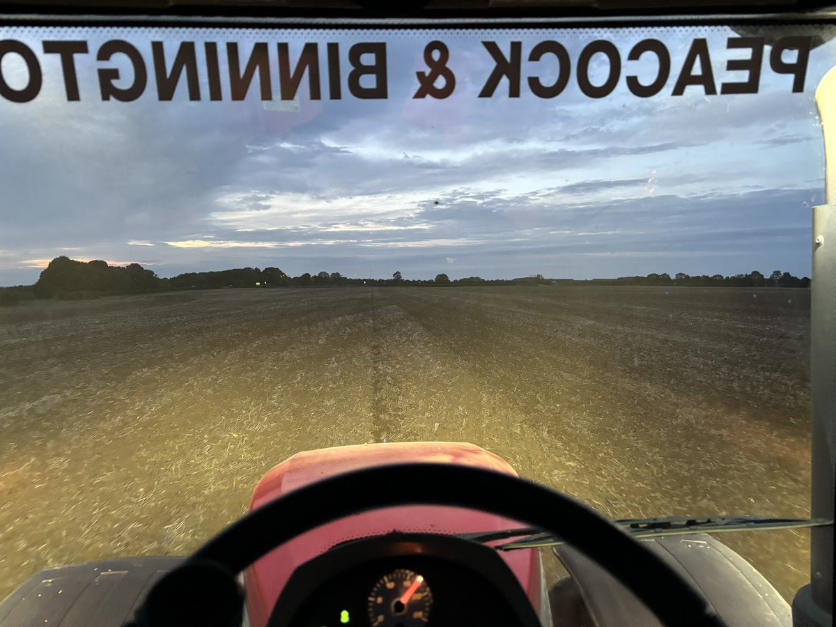 Will Kealey tweet media